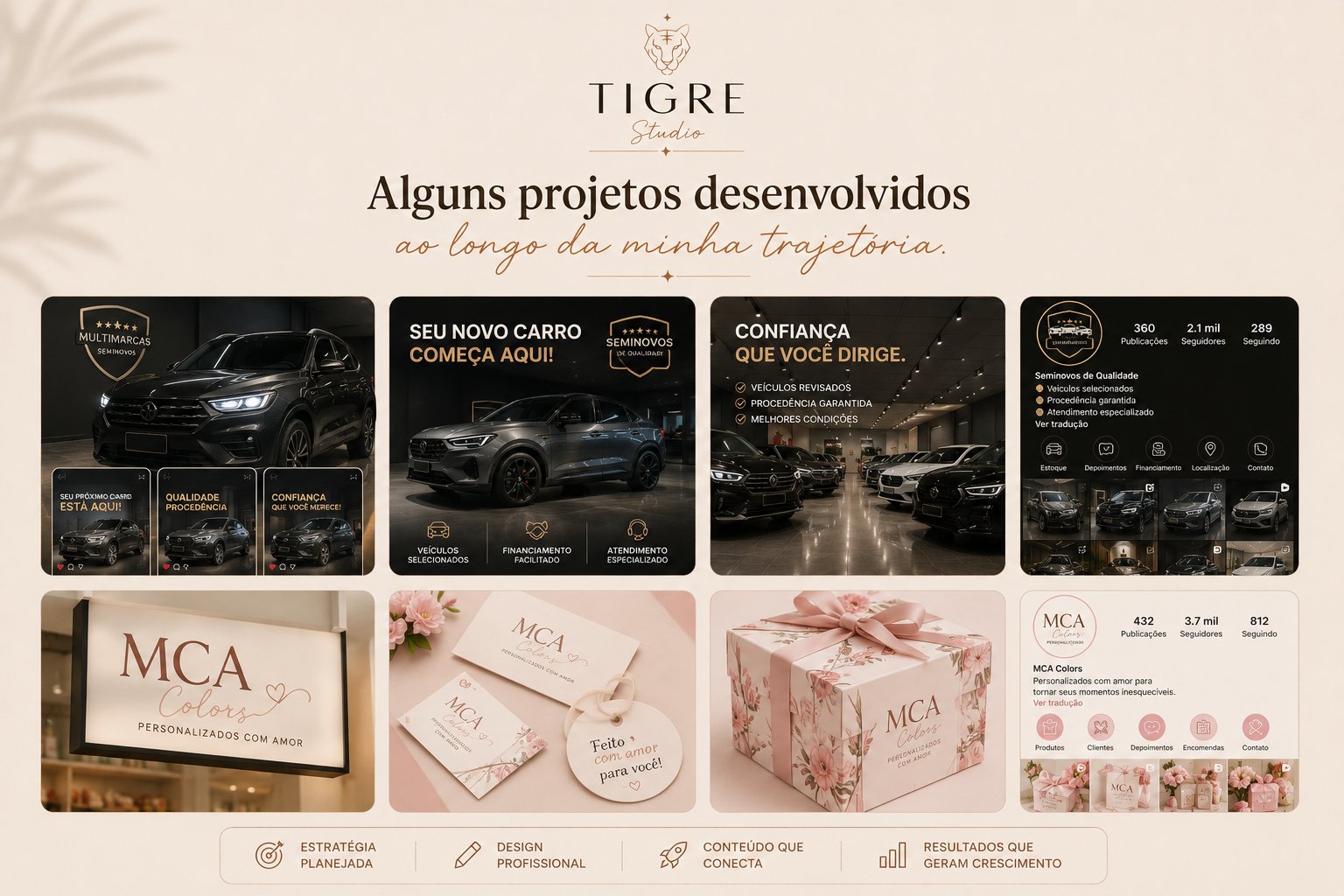 Projetos desenvolvidos ao longo da trajetória - Tigre Studio